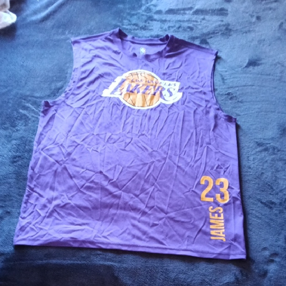 NBA Purple and Gold Lebron James  Jersey
